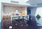 Emergency Water Extraction or Removal Services in Sarasota